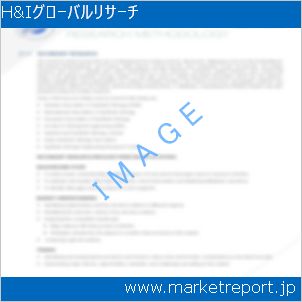 市場と産業調査レポートのイメージ